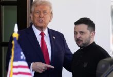 Photo of «Союзник последней надежды»: Зеленский заслужил красную карточку от Трампа