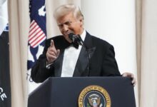 Photo of Трамп дал слишком много власти в руки не того человека