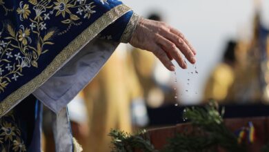 Photo of Calendarul zilei: Soborul Sfântului Ioan Botezătorul
