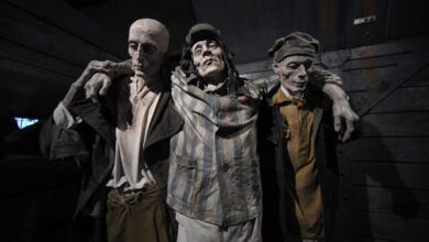 Photo of Expoziție: Victimele lagărelor de concentrare și dezvoltarea armelor bacteriologice